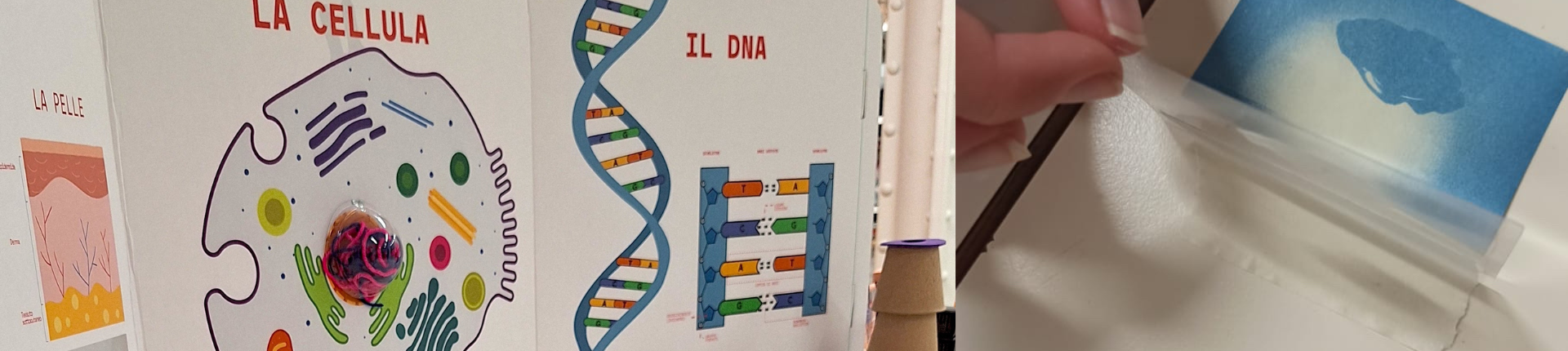 Attività al museo della scienza