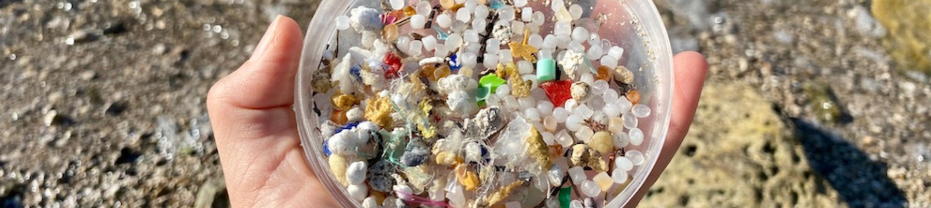 Microplastiche