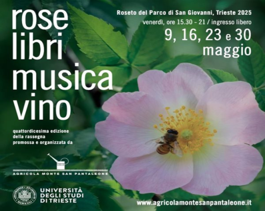 rosa e info evento