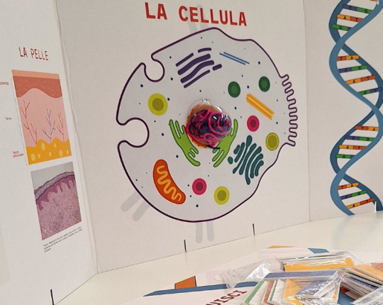 Attività al museo della scienza