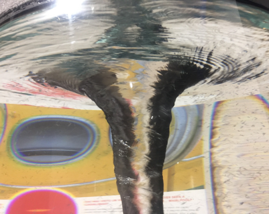 Postazione immaginario