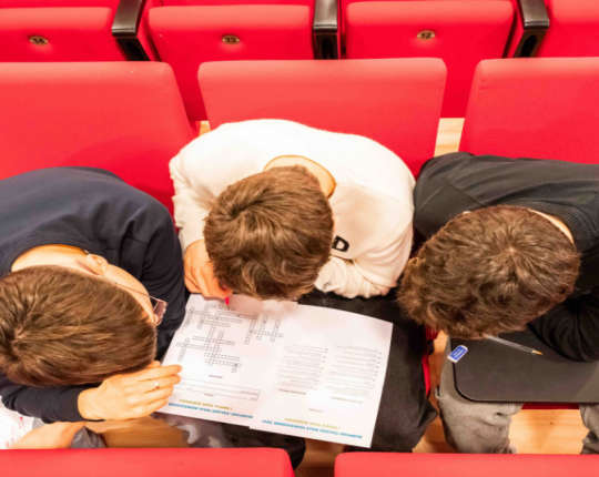 Olimpiadi neuroscienze mosaico