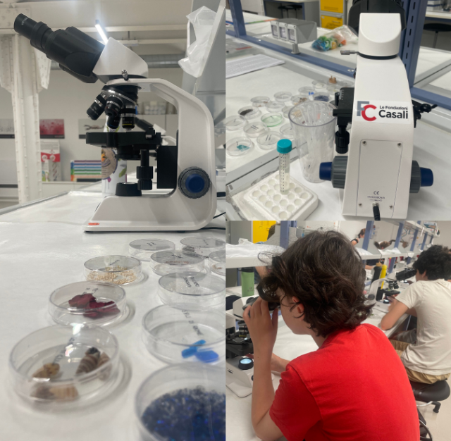 Attività al museo della scienza