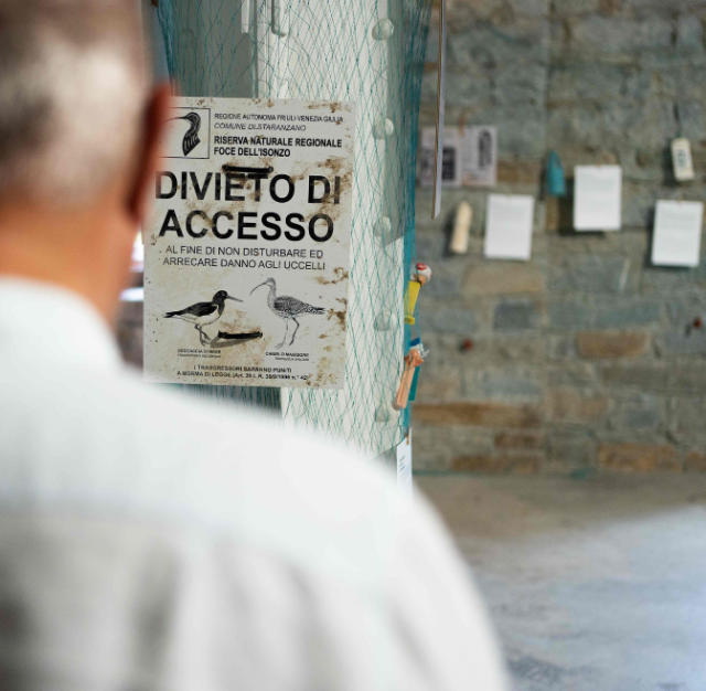 Mostra "Archeoplastica" al museo