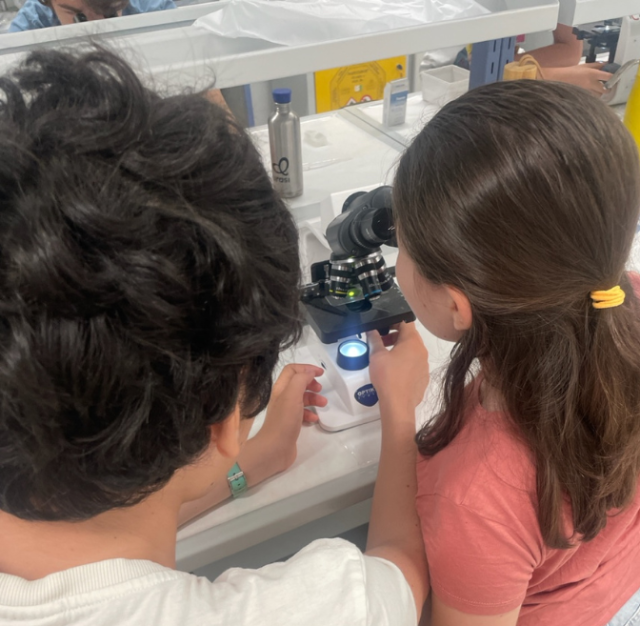 microscopi all'immaginario